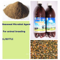 Additif d&#39;alimentation biologique pour animaux